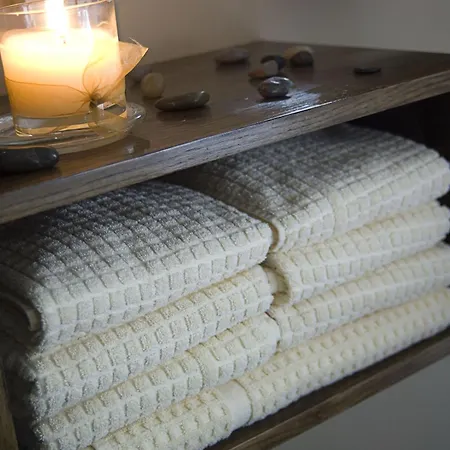 Hotel Woods Hotel&spa 4*