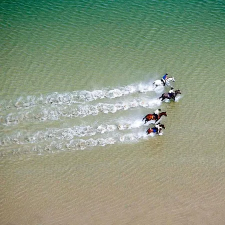 Woods & Γουέστπορτ