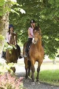 Woods & Szálloda 4*