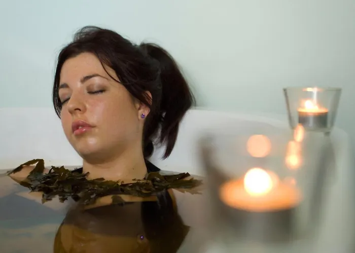 Отель Woods & 4*