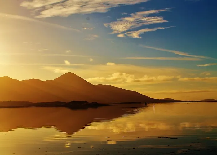 Woods & Вэстпорт