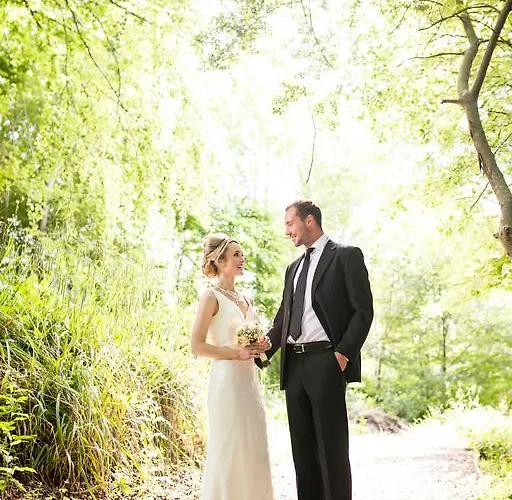 Отель Woods & 4*